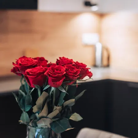 Lägenhet Hviezdoslavova Apartments, Centre, Parking Available